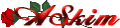 Nik